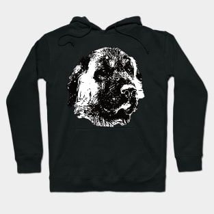 Anatolian Shepherd gift for Kangal Owners Hoodie